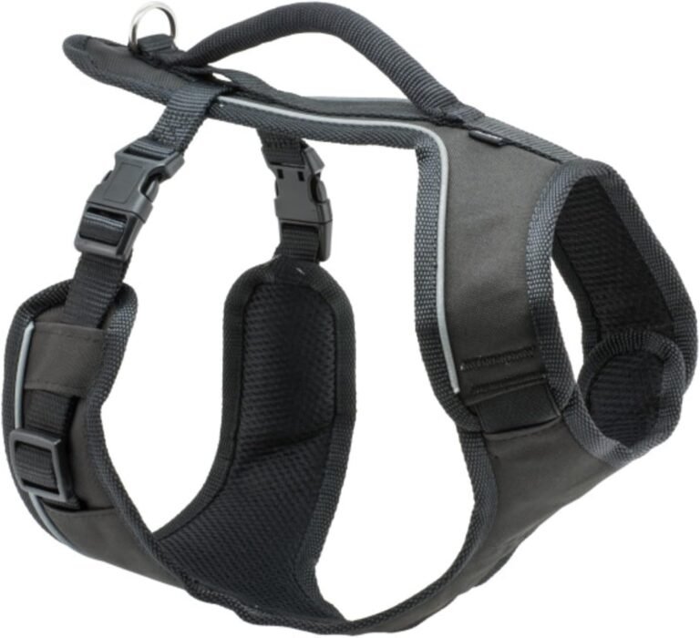 PetSafe – EasySport