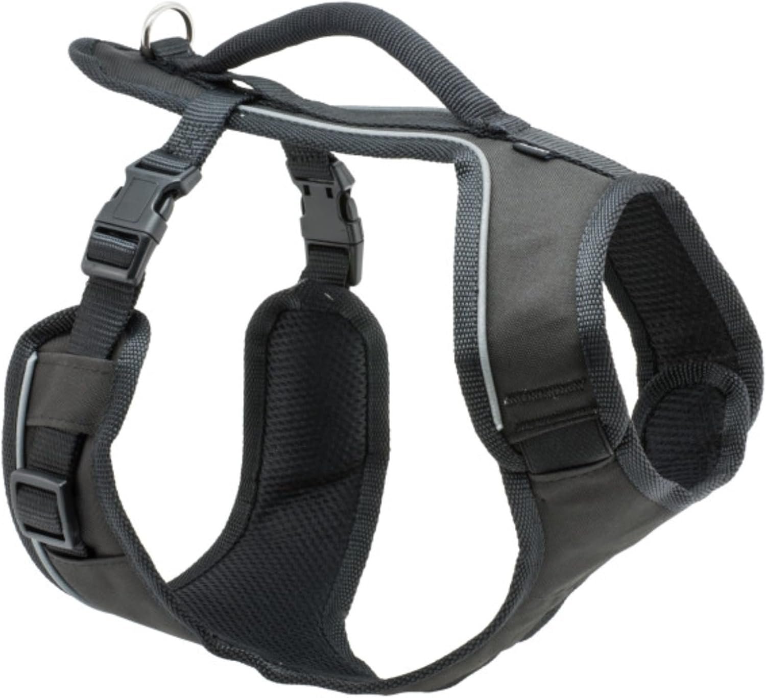 PetSafe – EasySport