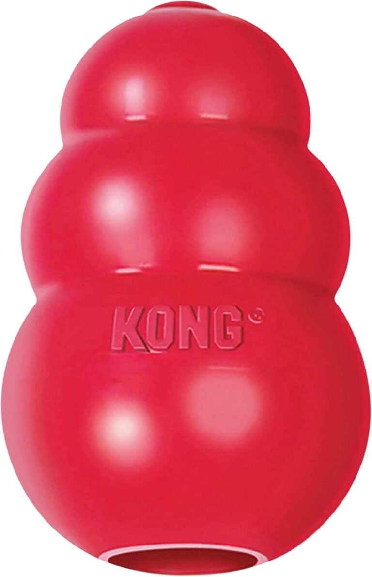 KONG – Puppy (S)