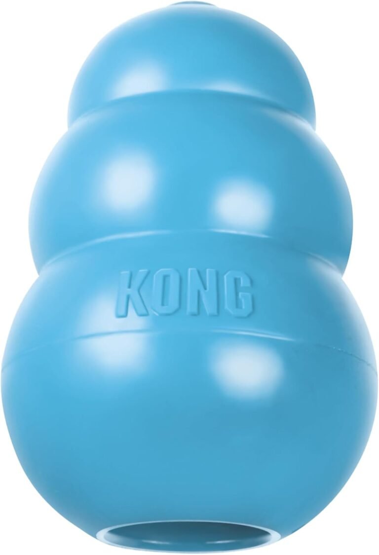 KONG – Puppy (M)