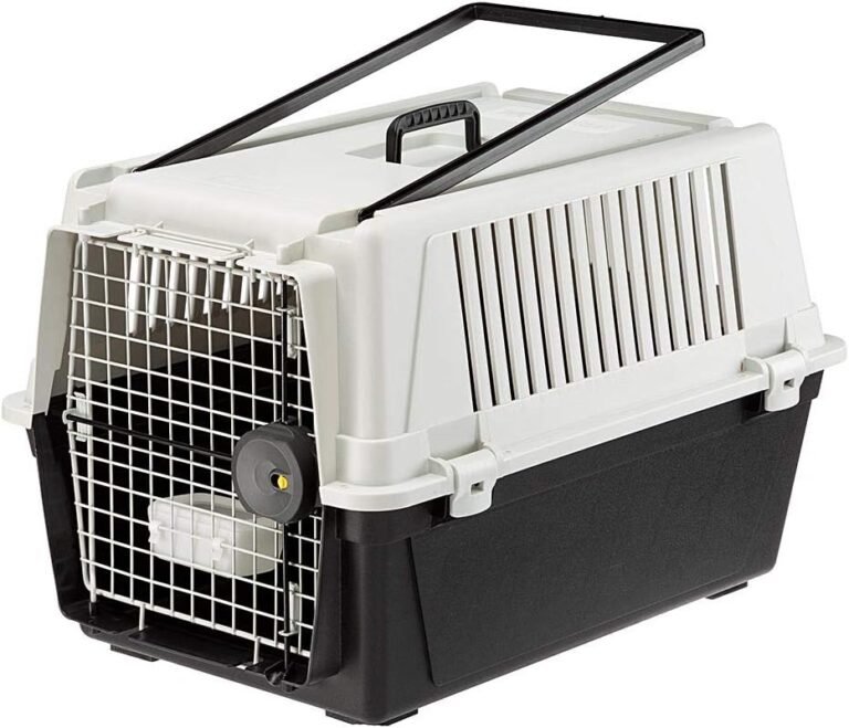 Ferplast Atlas 40 Professional : la caisse polyvalente taille moyenne