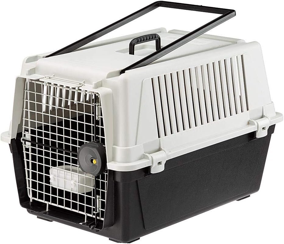 Ferplast Atlas 40 Professional : la caisse polyvalente taille moyenne