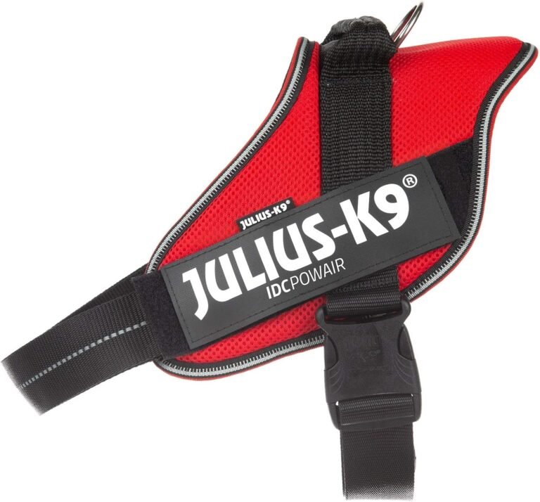 Julius – K9 IDC Powair
